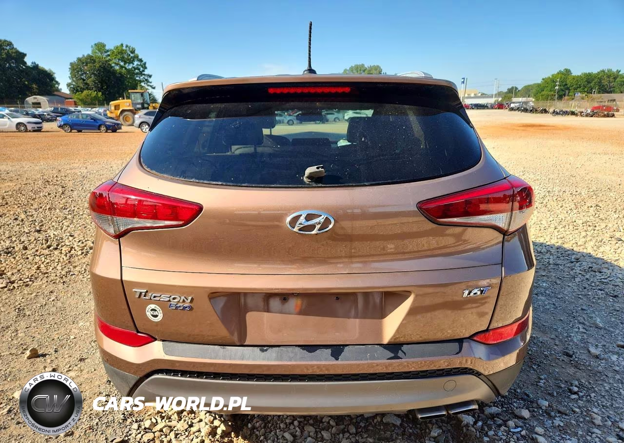 2016 Hyundai Tucson Eco VIN:KM8J33A29GU107205 - 6