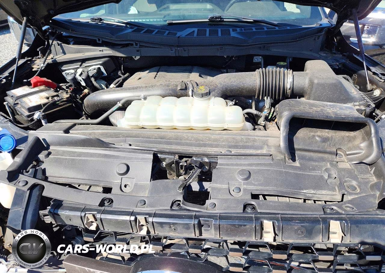 2021 Ford F150 Supercrew VIN:1FTFW1E80MFB90981 - 11