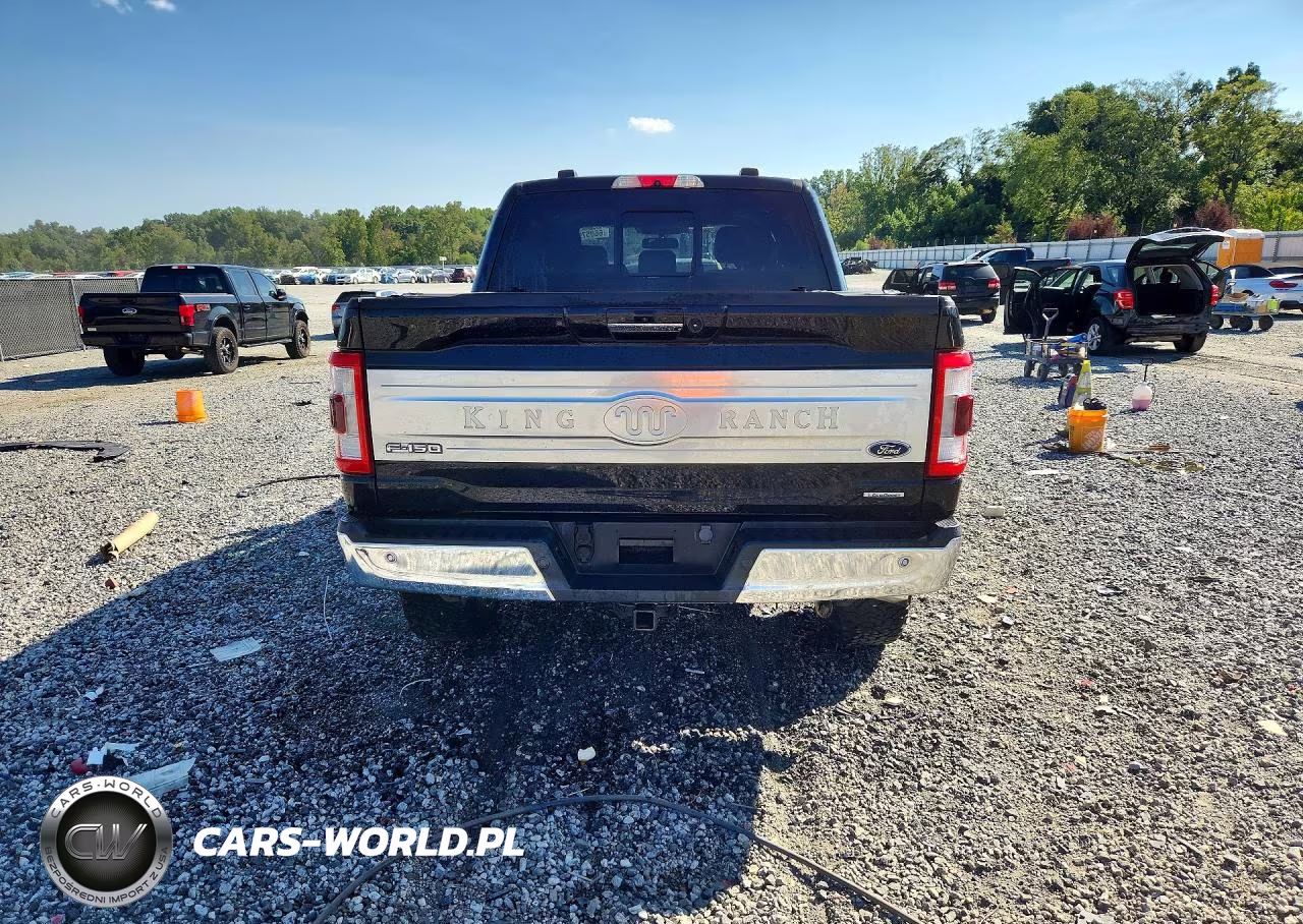 2021 Ford F150 Supercrew VIN:1FTFW1E80MFB90981 - 6