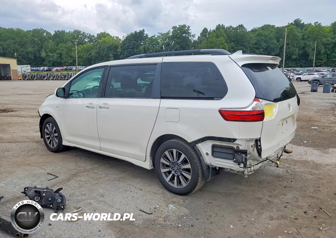 2020 Toyota Sienna Xle 7-Passenger VIN:5TDDZ3DC6LS242077 - 2