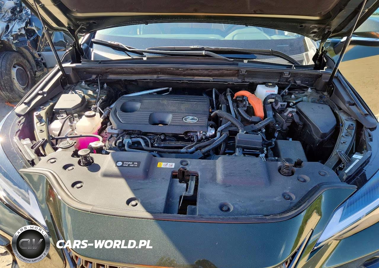 2025 Lexus Nx 350H Premium VIN:2T2GKCEZ6SC045983 - 12