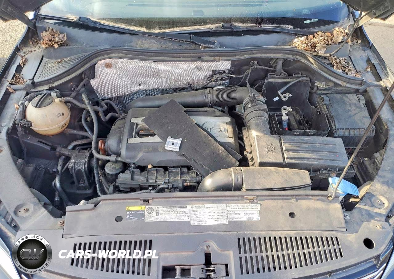 2013 Volkswagen Tiguan S VIN:WVGBV3AX2DW597383 - 12