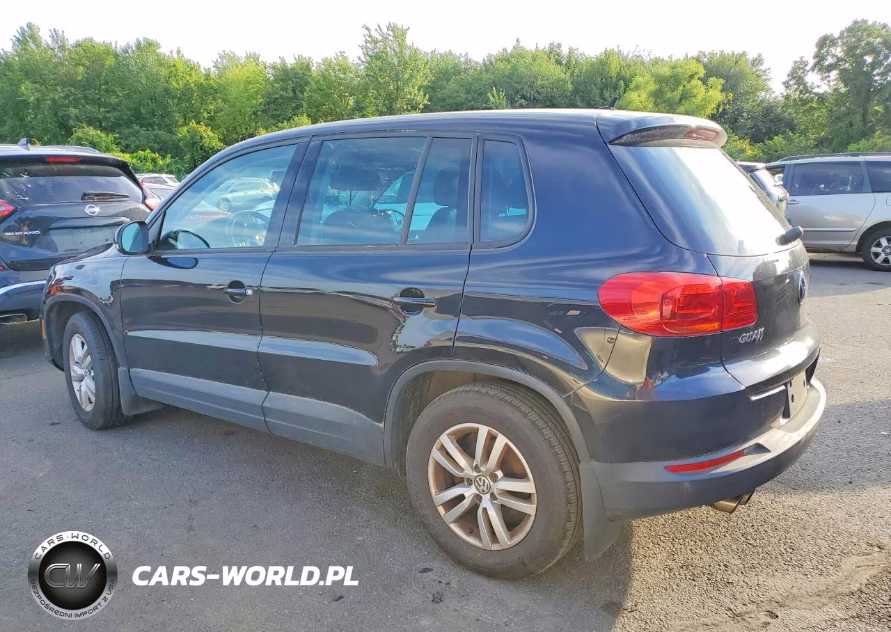 2013 Volkswagen Tiguan S VIN:WVGBV3AX2DW597383 - 2