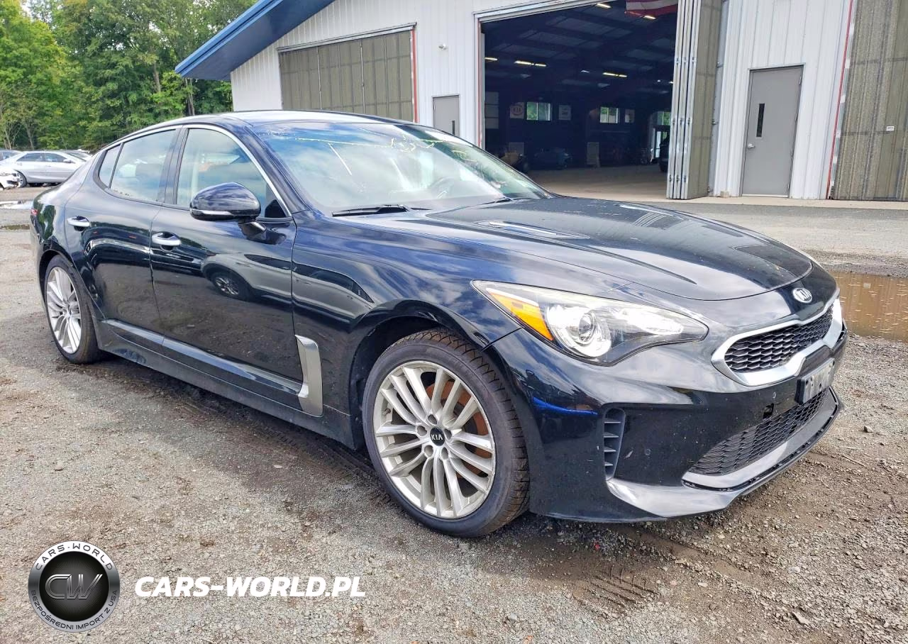 2018 Kia Stinger Base VIN:KNAE15LA1J6013114 - 4