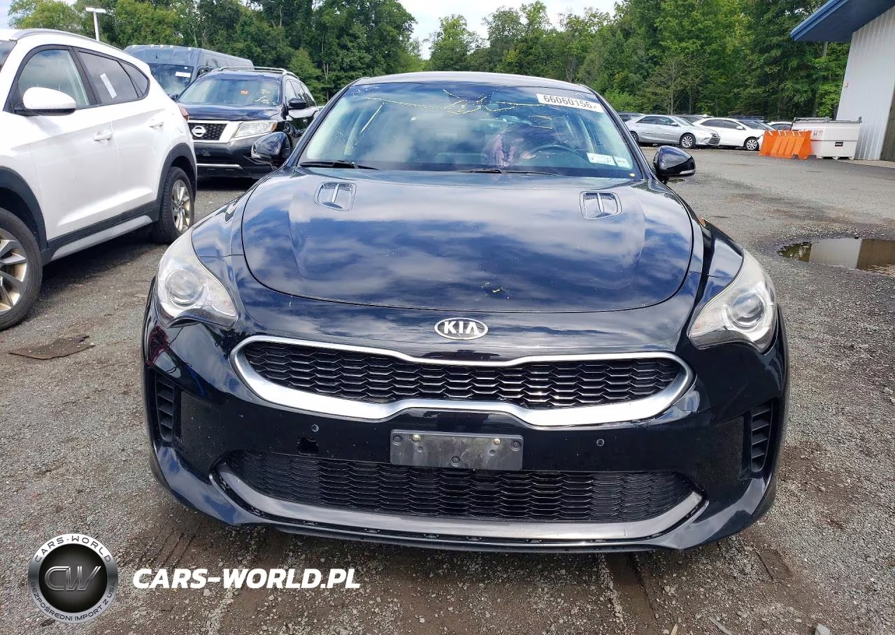 2018 Kia Stinger Base VIN:KNAE15LA1J6013114 - 5