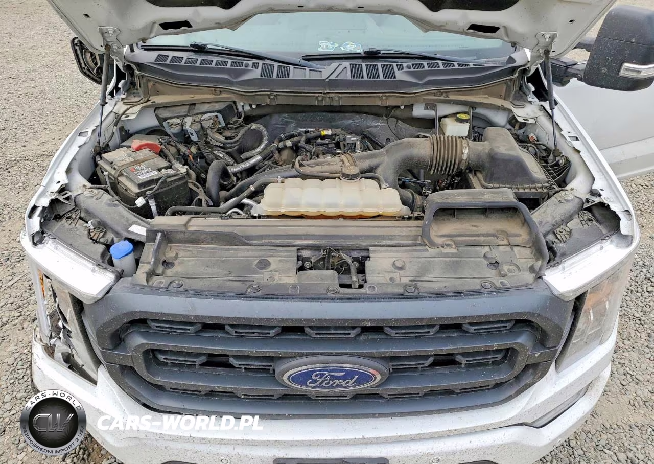 2023 Ford F150 Supercrew VIN:1FTEW1EP6PKD48562 - 11