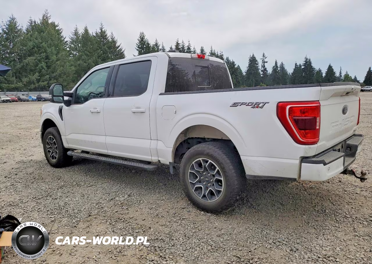 2023 Ford F150 Supercrew VIN:1FTEW1EP6PKD48562 - 2