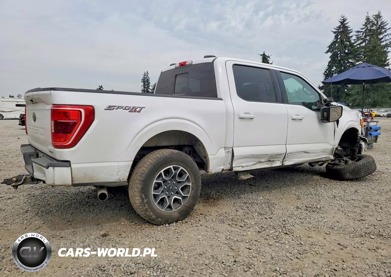 2023 Ford F150 Supercrew VIN:1FTEW1EP6PKD48562 - 3
