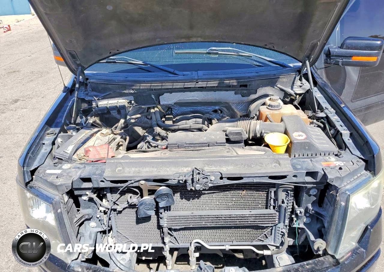 2013 Ford F150 Supercrew VIN:1FTFW1CF8DFA60481 - 11