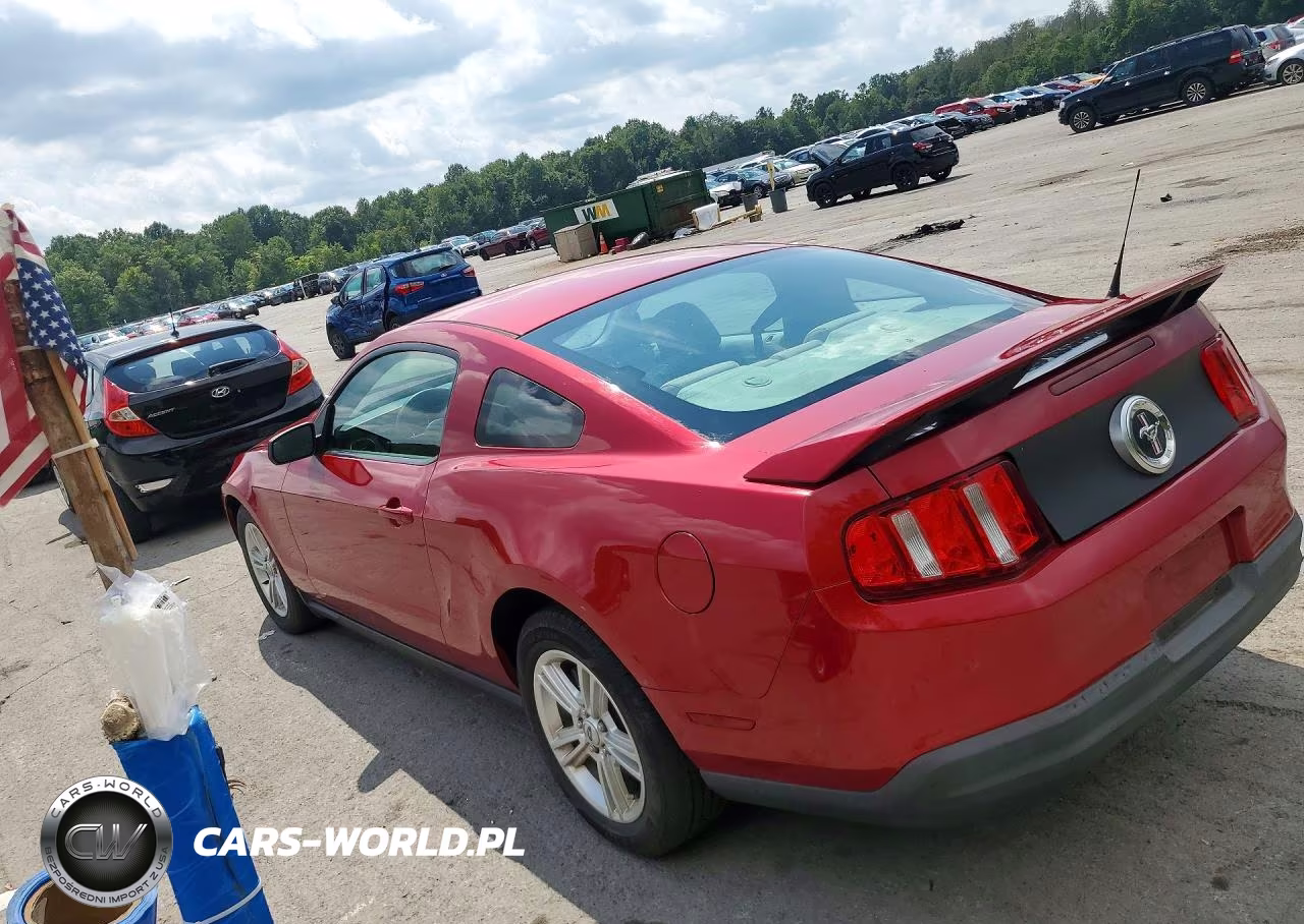 2010 Ford Mustang VIN:1ZVBP8AN1A5142730 - 2