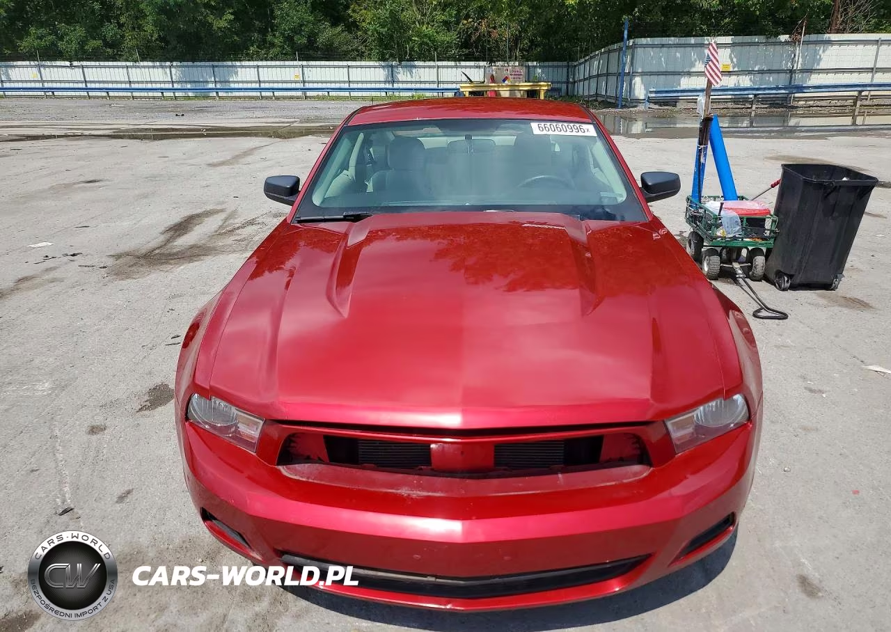 2010 Ford Mustang VIN:1ZVBP8AN1A5142730 - 5