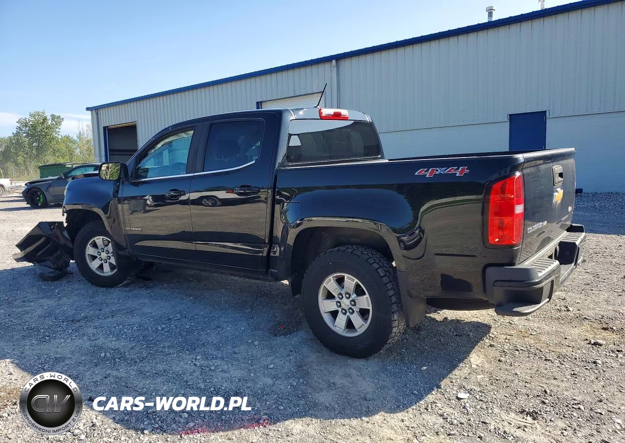 2019 Chevrolet Colorado VIN:1GCGTBEN0K1203117 - 2