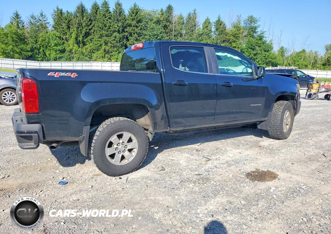 2019 Chevrolet Colorado VIN:1GCGTBEN0K1203117 - 3