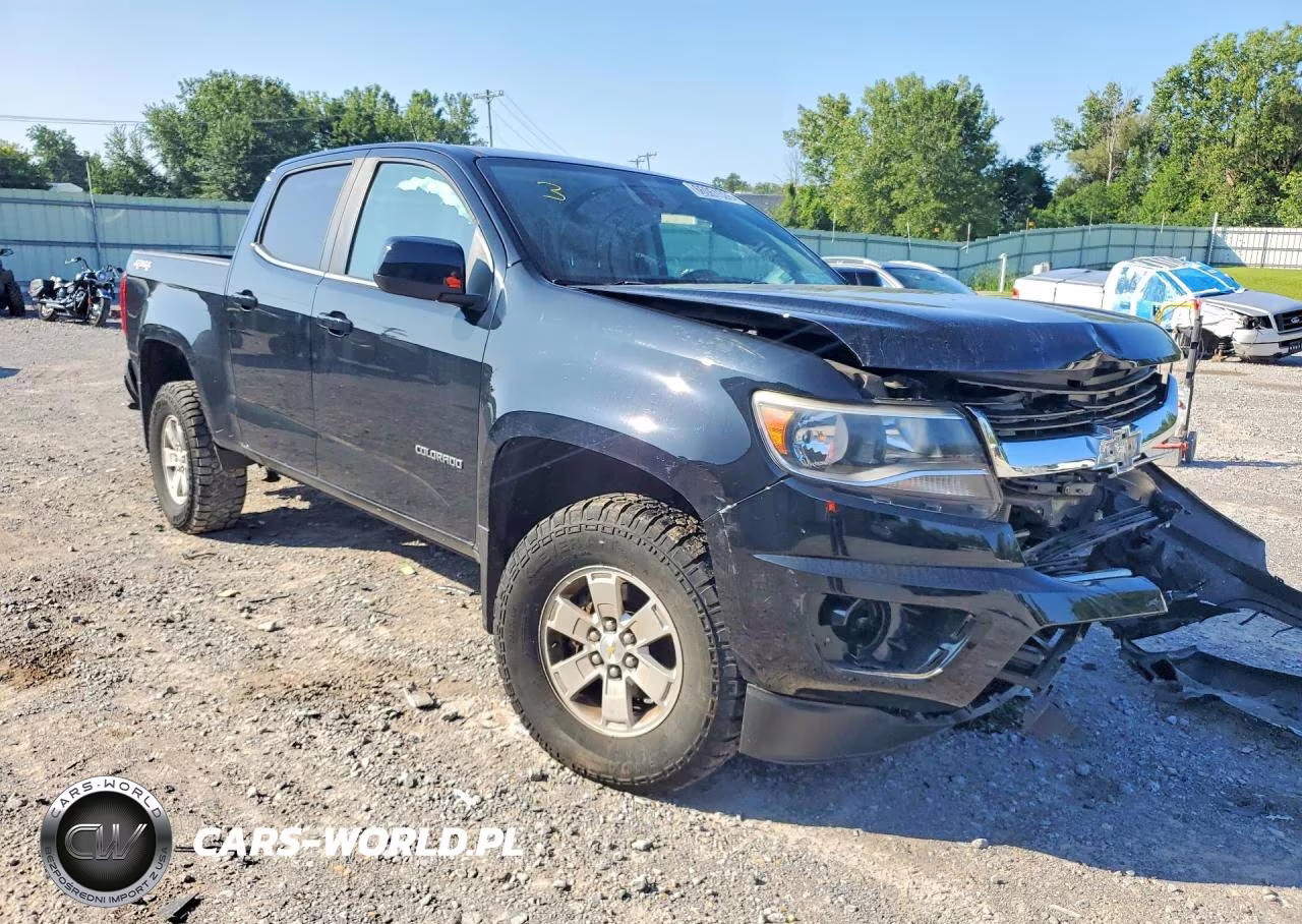 2019 Chevrolet Colorado VIN:1GCGTBEN0K1203117 - 4