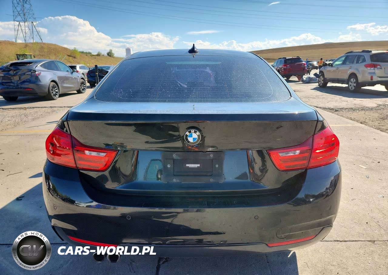 2016 BMW 428 Xi Gran Coupe Sulev VIN:WBA4C9C5XGG136493 - 6