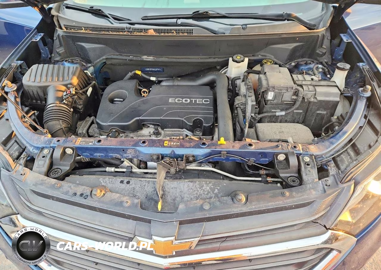 2019 Chevrolet Equinox Lt VIN:2GNAXUEV6K6234981 - 11