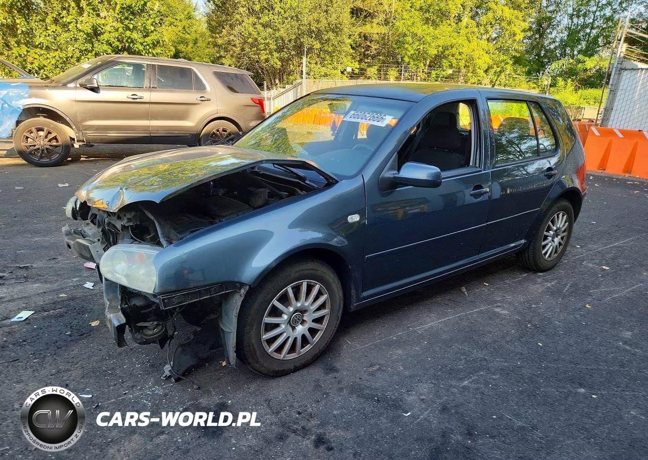 2004 Volkswagen Golf Gls