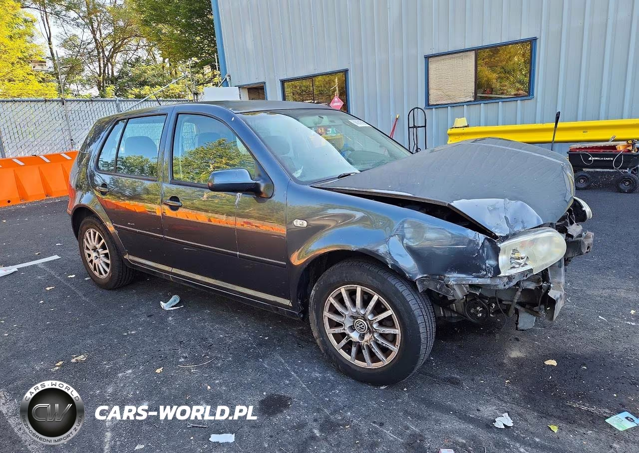 2004 Volkswagen Golf Gls VIN:9BWGL61J144004546 - 4