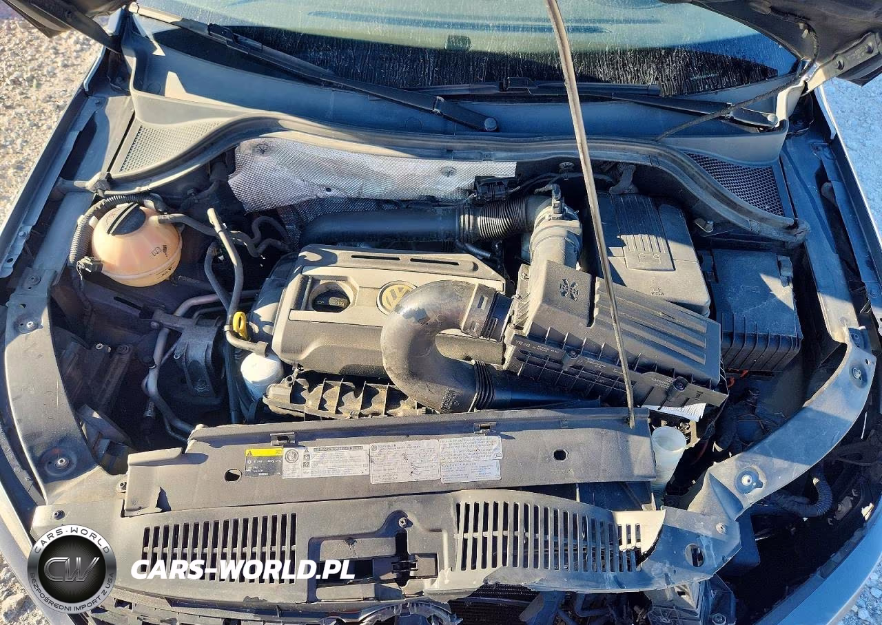 2014 Volkswagen Tiguan S VIN:WVGBV3AX3EW563499 - 12