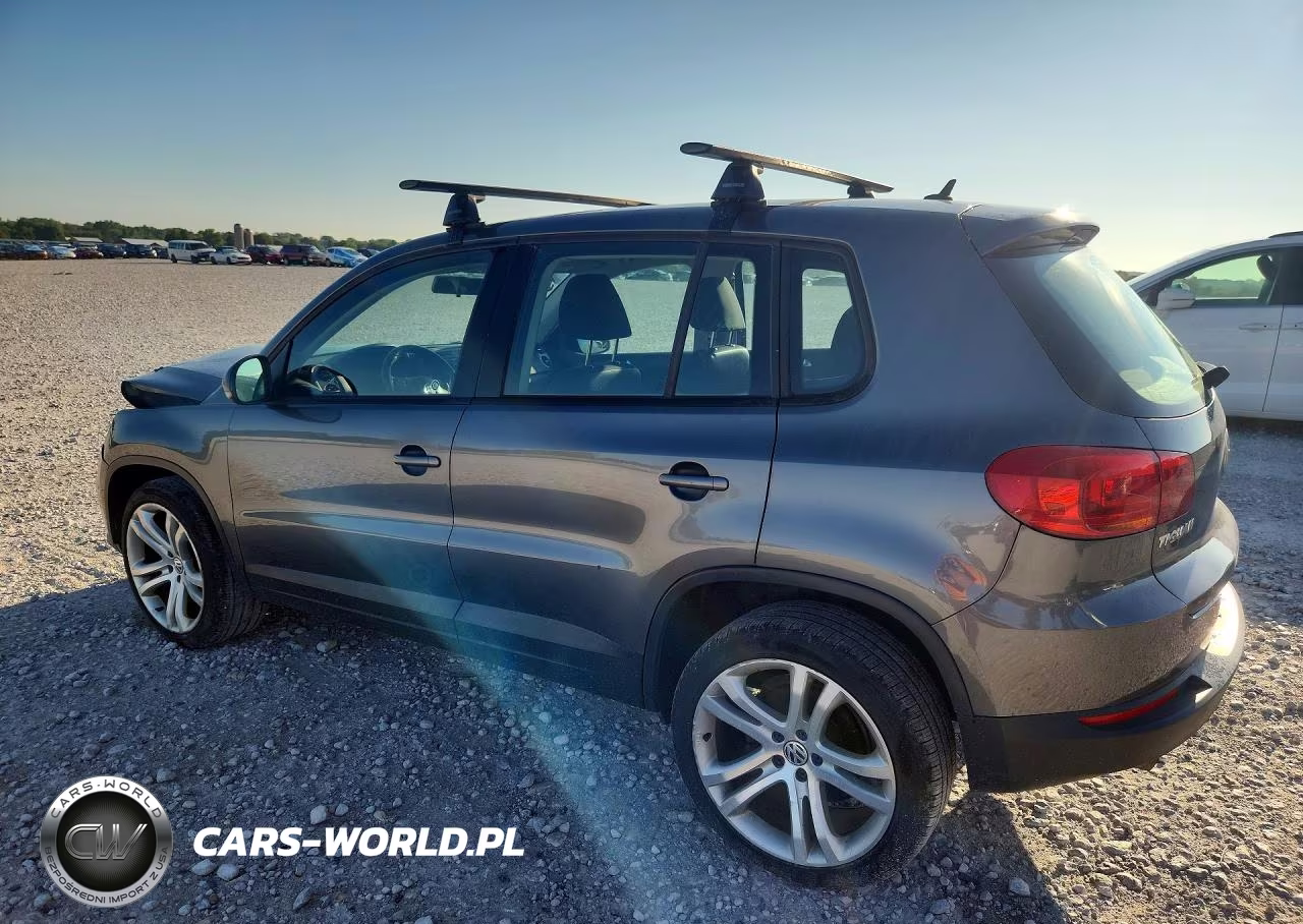 2014 Volkswagen Tiguan S VIN:WVGBV3AX3EW563499 - 2