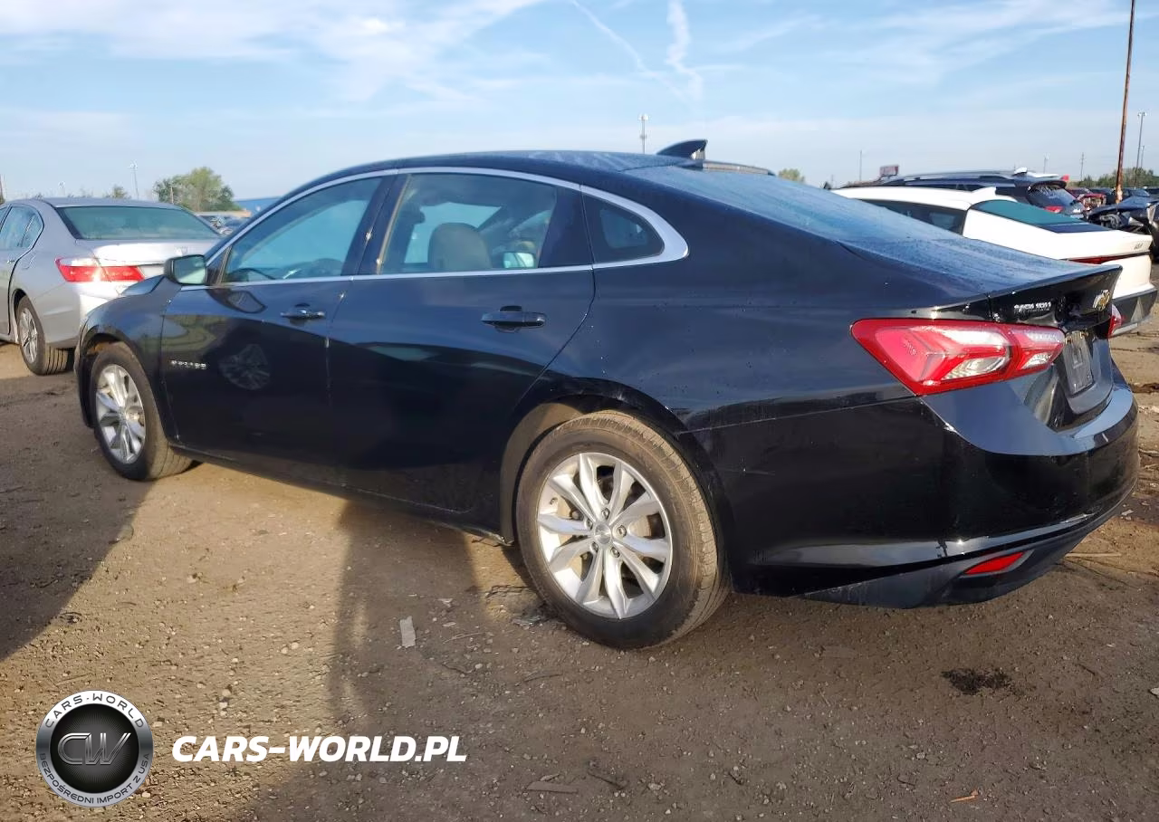 2019 Chevrolet Malibu Lt VIN:1G1ZD5ST4KF167762 - 2