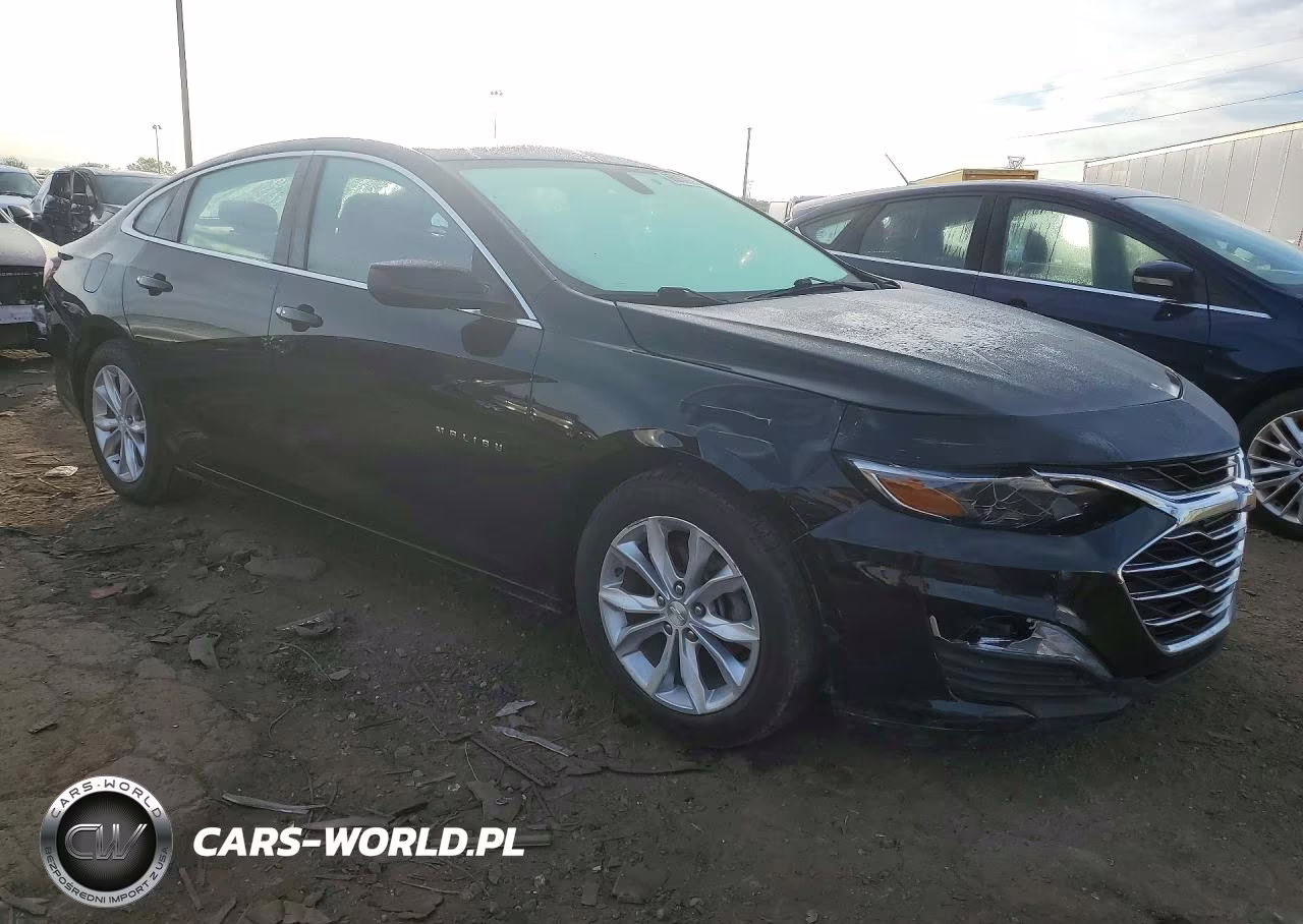 2019 Chevrolet Malibu Lt VIN:1G1ZD5ST4KF167762 - 4