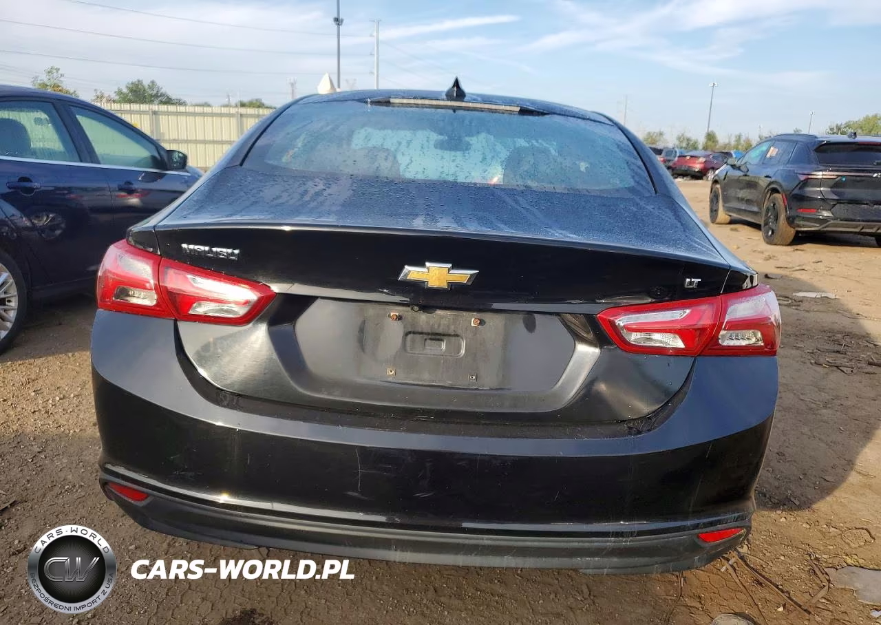 2019 Chevrolet Malibu Lt VIN:1G1ZD5ST4KF167762 - 6