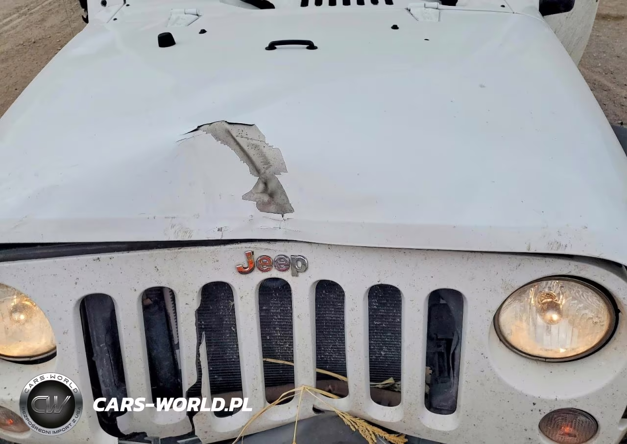 2016 Jeep Wrangler Sport VIN:1C4AJWAG0GL267485 - 12