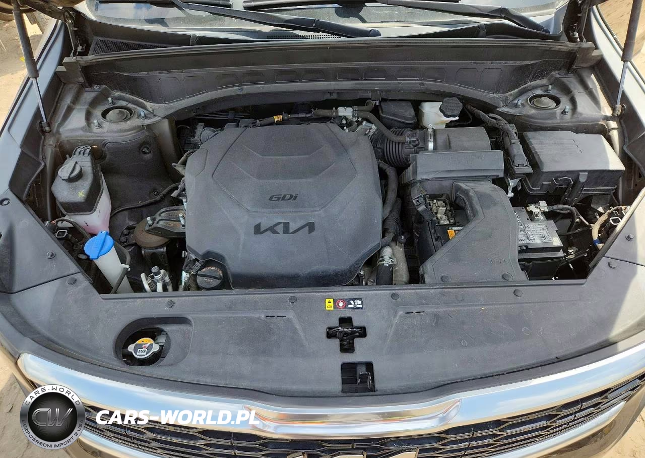 2022 Kia Telluride Sx VIN:5XYP54HC7NG228486 - 12