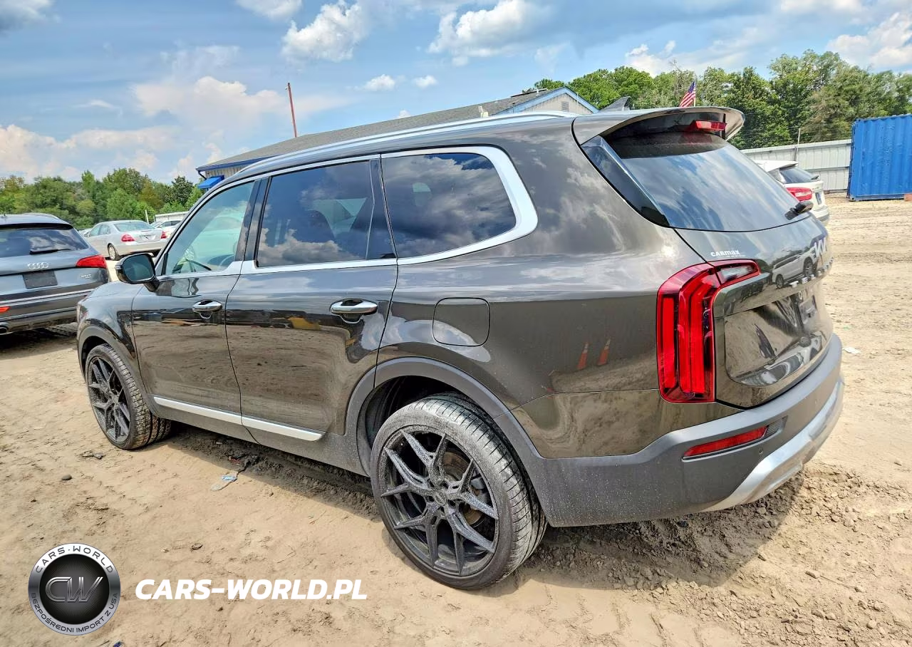 2022 Kia Telluride Sx VIN:5XYP54HC7NG228486 - 2