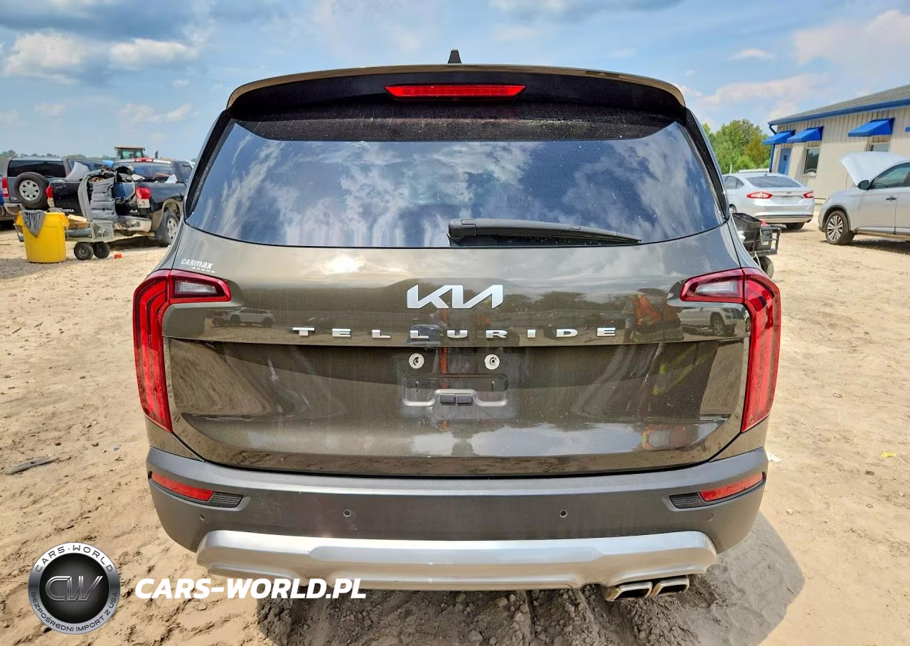 2022 Kia Telluride Sx VIN:5XYP54HC7NG228486 - 6