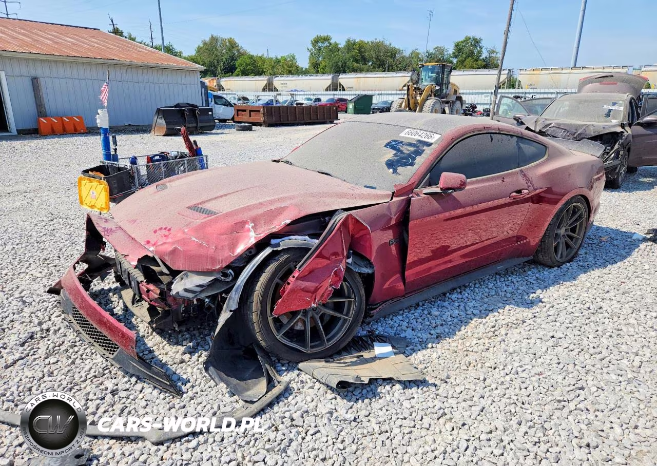2019 Ford Mustang Gt VIN:1FA6P8CF1K5107400 - 1