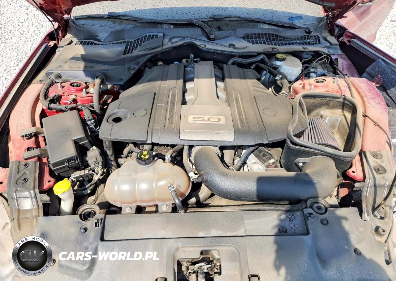 2019 Ford Mustang Gt VIN:1FA6P8CF1K5107400 - 11