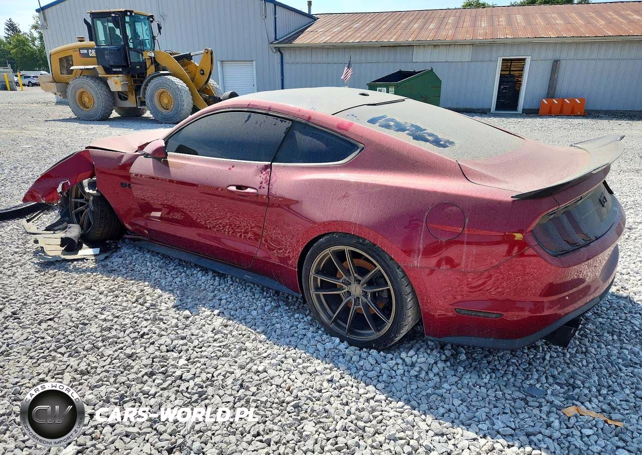 2019 Ford Mustang Gt VIN:1FA6P8CF1K5107400 - 2