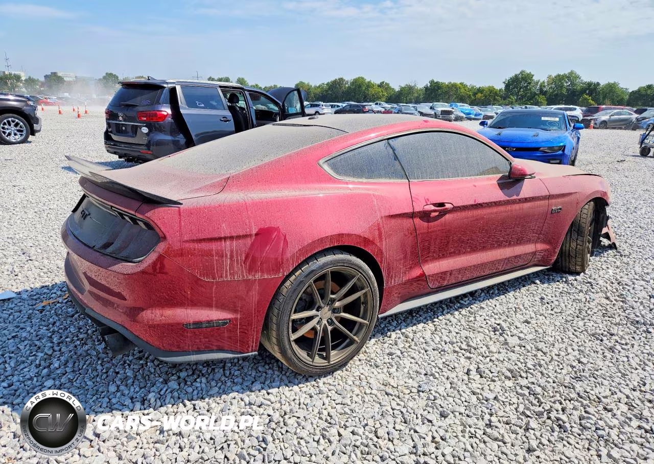 2019 Ford Mustang Gt VIN:1FA6P8CF1K5107400 - 3