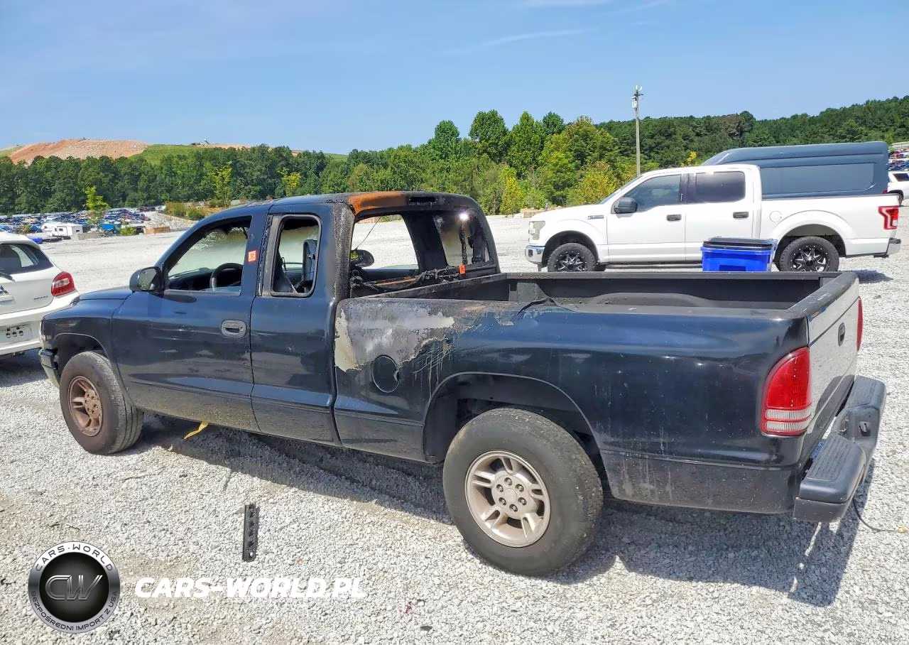 1999 Dodge Dakota VIN:1B7GL22X6XS110108 - 2