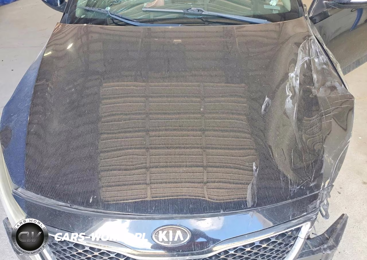 2015 Kia Optima Lx VIN:5XXGM4A78FG366883 - 11