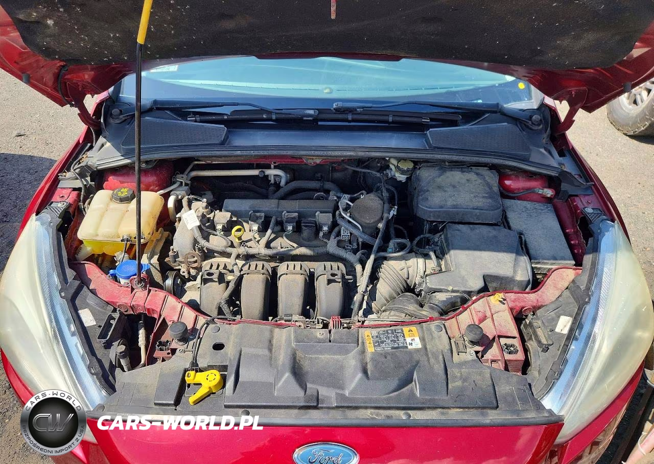 2015 Ford Focus Titanium VIN:1FADP3N23FL227091 - 11