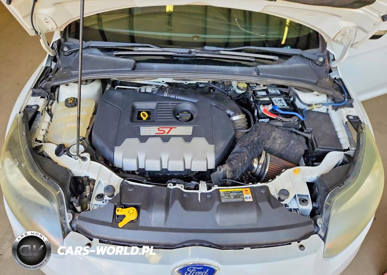 2014 Ford Focus St VIN:1FADP3L98EL212214 - 11
