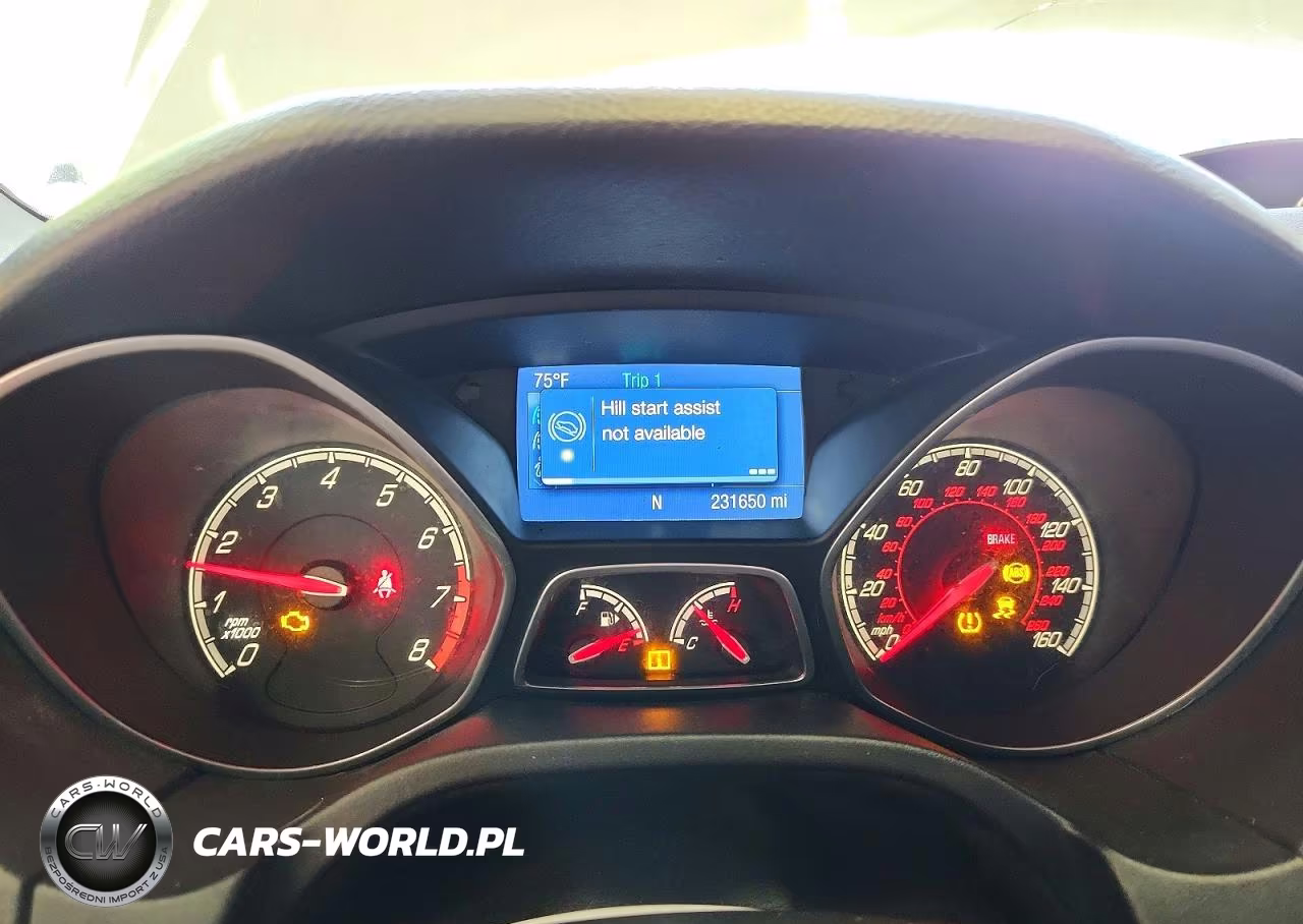 2014 Ford Focus St VIN:1FADP3L98EL212214 - 9