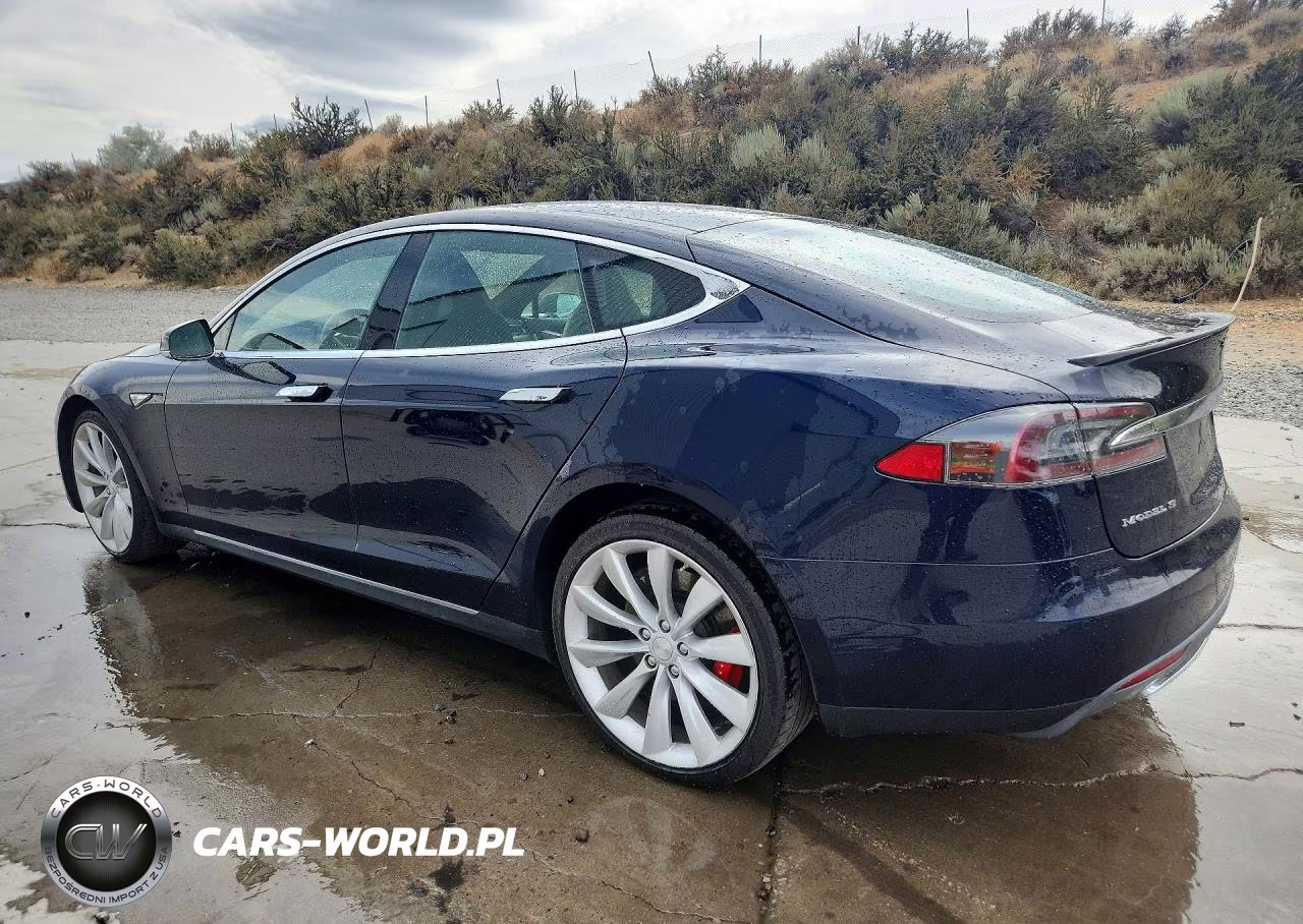 2014 Tesla Model S VIN:5YJSA1H29EFP65556 - 2
