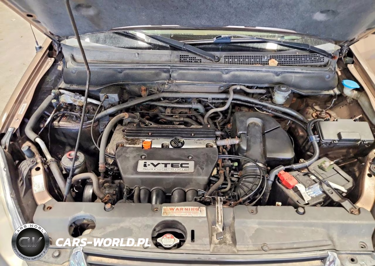 2002 Honda Cr-V Lx VIN:JHLRD78482C037460 - 11
