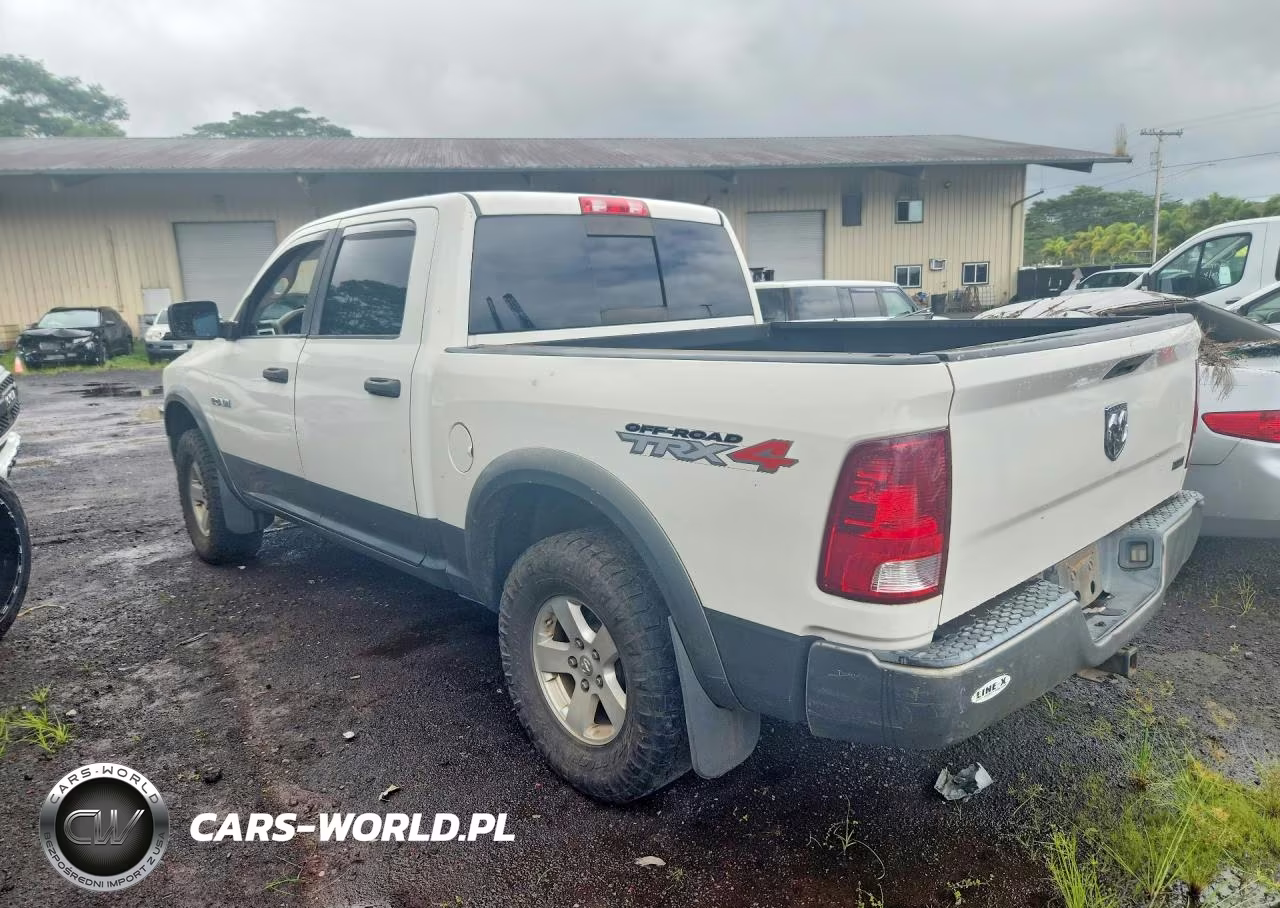 2009 Dodge Ram 1500 VIN:1D3HV13P59S811384 - 2