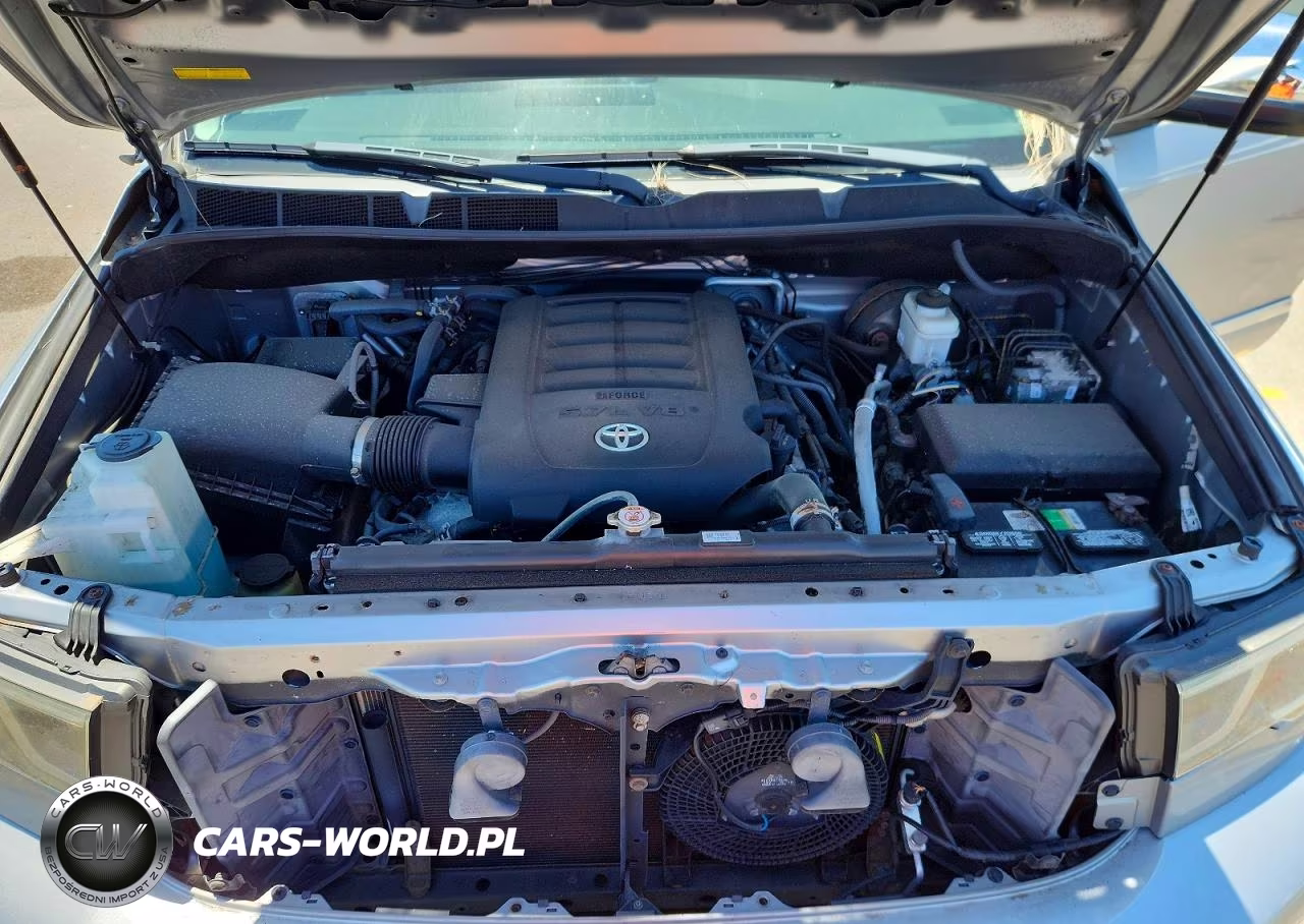 2019 Toyota Sequoia Limited VIN:5TDKY5G12KS073447 - 12