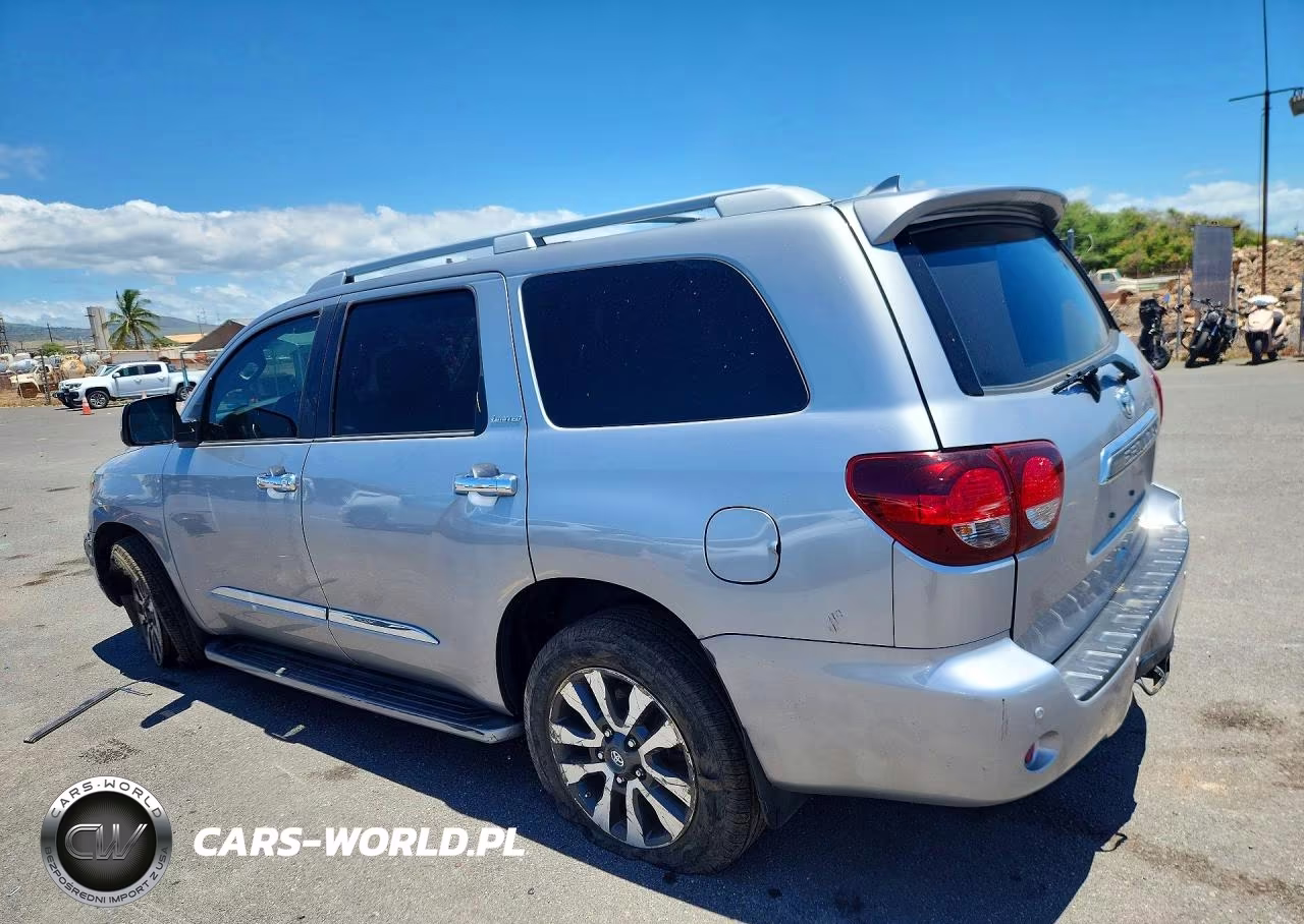 2019 Toyota Sequoia Limited VIN:5TDKY5G12KS073447 - 2