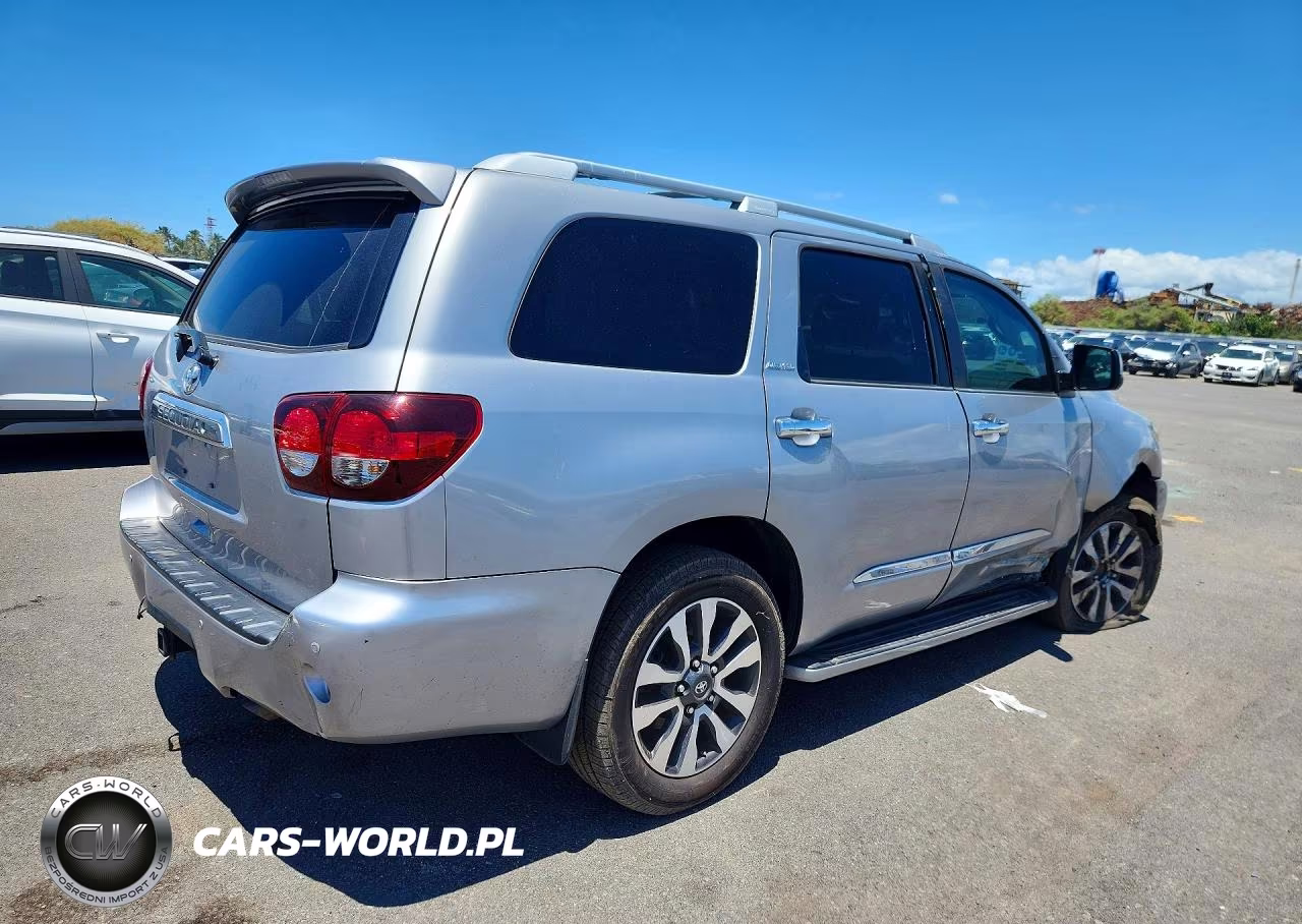 2019 Toyota Sequoia Limited VIN:5TDKY5G12KS073447 - 3