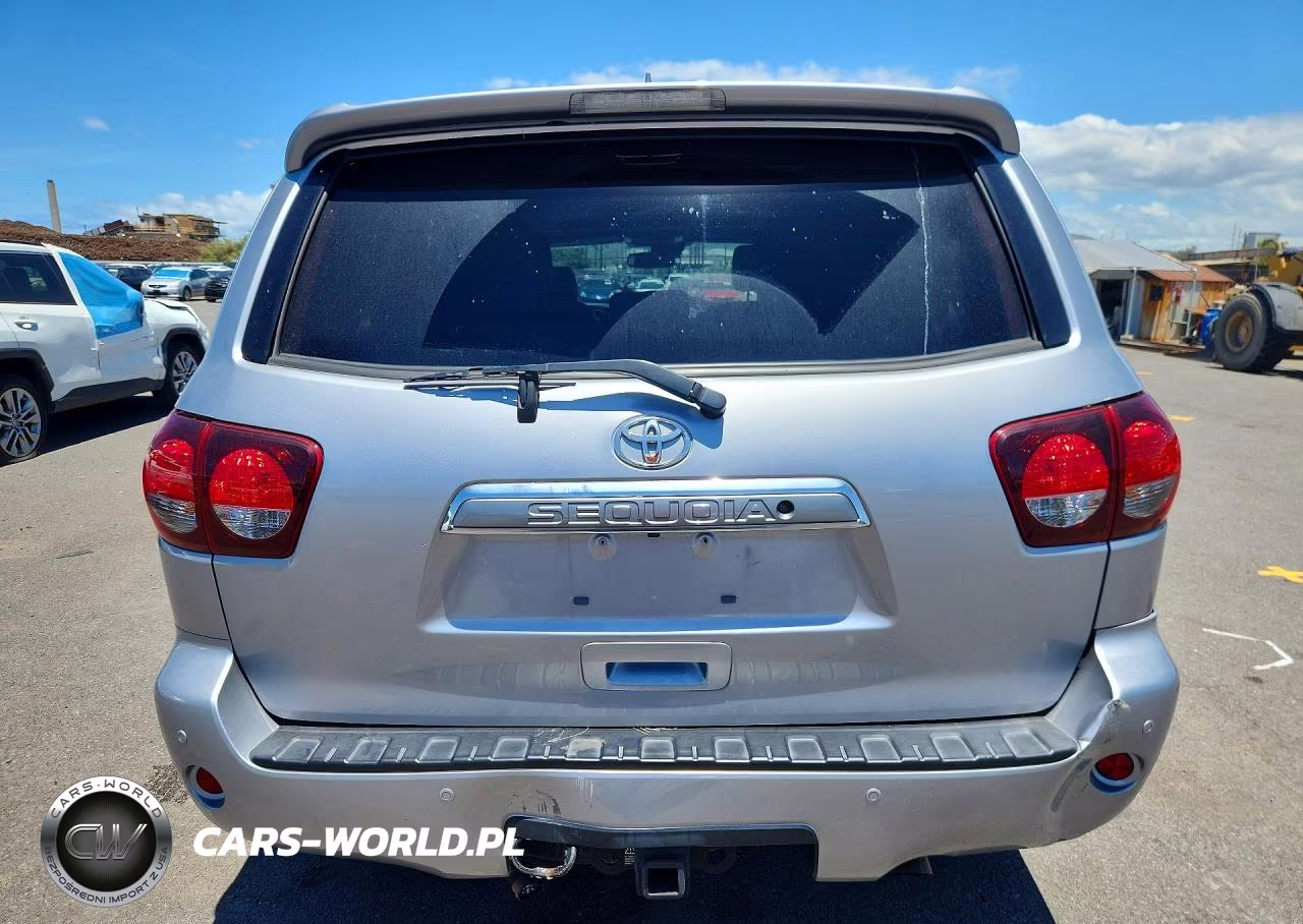 2019 Toyota Sequoia Limited VIN:5TDKY5G12KS073447 - 6