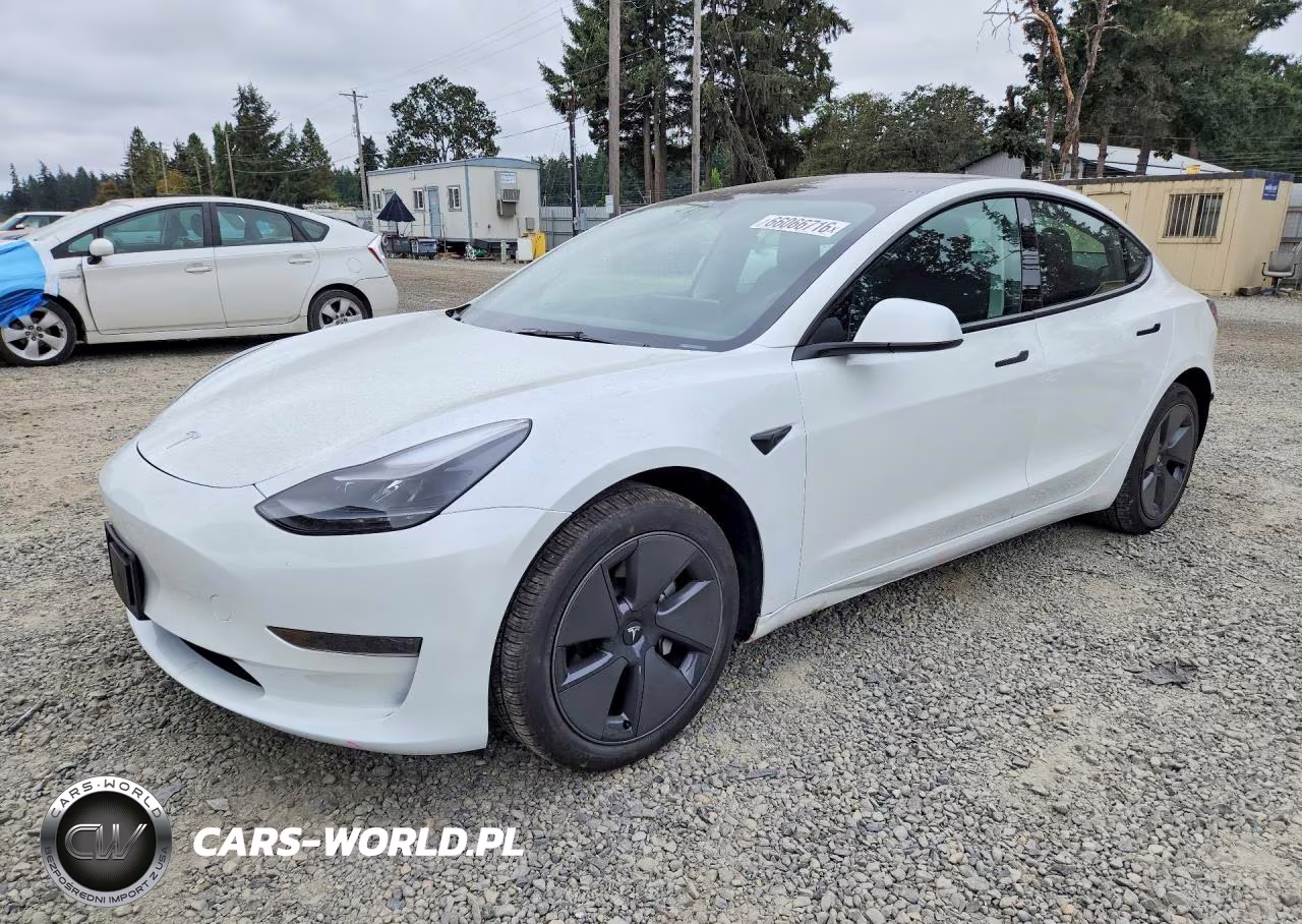2023 Tesla Model 3 VIN:5YJ3E1EA4PF542333 - 1