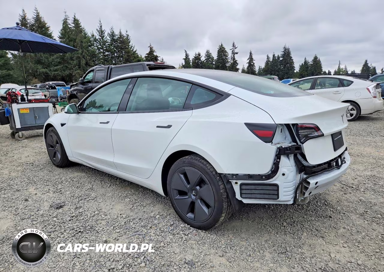 2023 Tesla Model 3 VIN:5YJ3E1EA4PF542333 - 2
