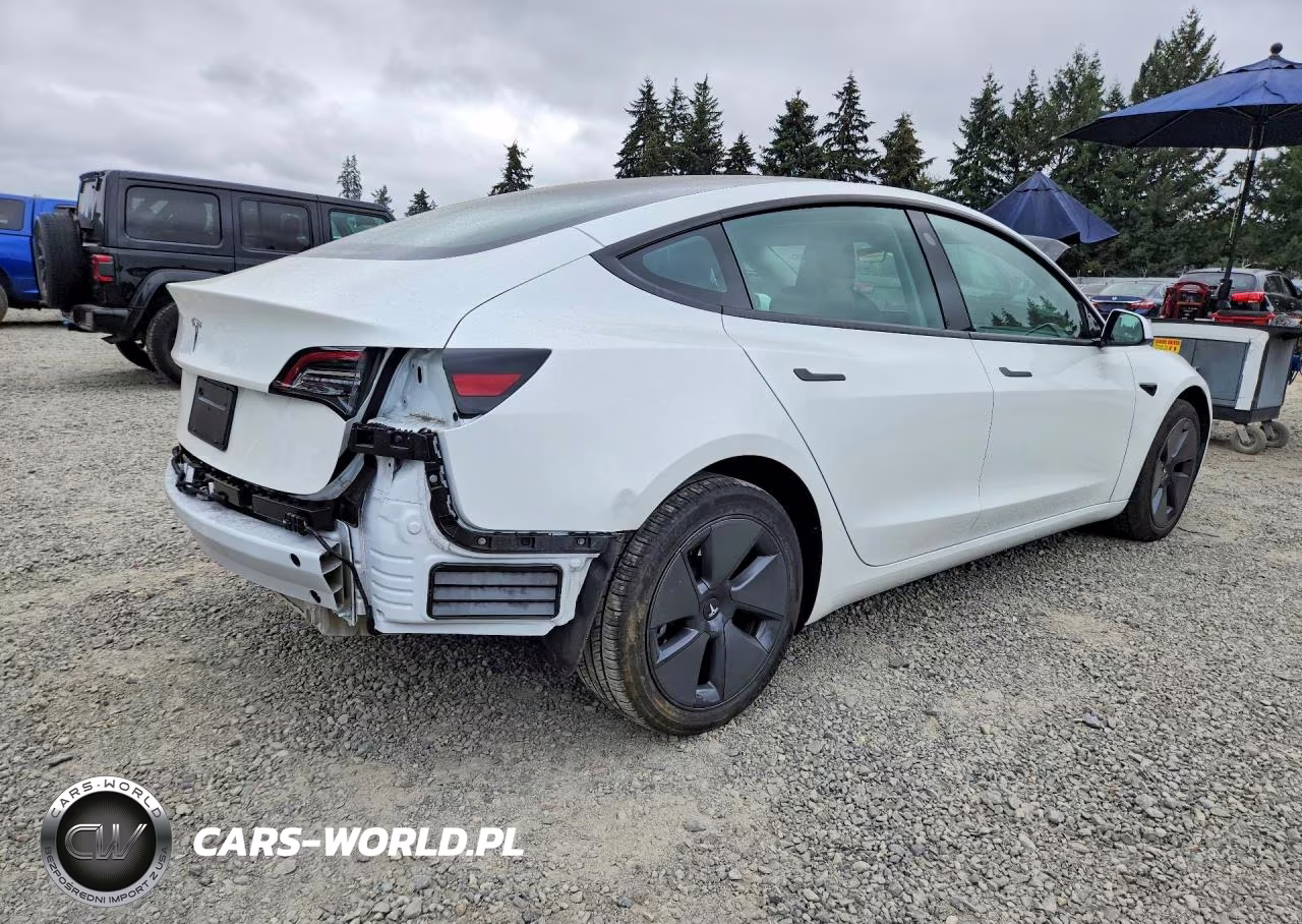 2023 Tesla Model 3 VIN:5YJ3E1EA4PF542333 - 3